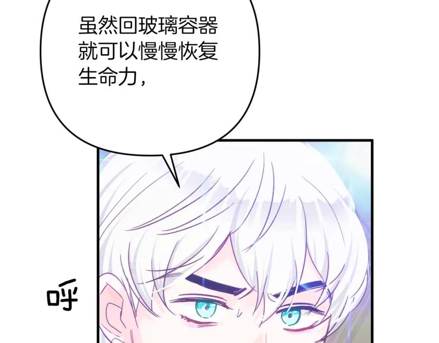 《钻石小姐历险记》第45话 被野生树精袭击了_! 第39页