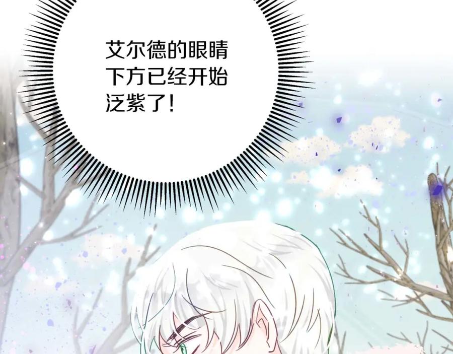 《钻石小姐历险记》第45话 被野生树精袭击了_! 第28页