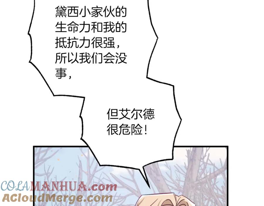《钻石小姐历险记》第45话 被野生树精袭击了_! 第25页