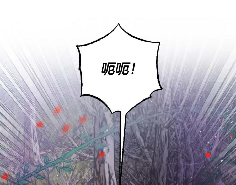 《钻石小姐历险记》第45话 被野生树精袭击了_! 第135页