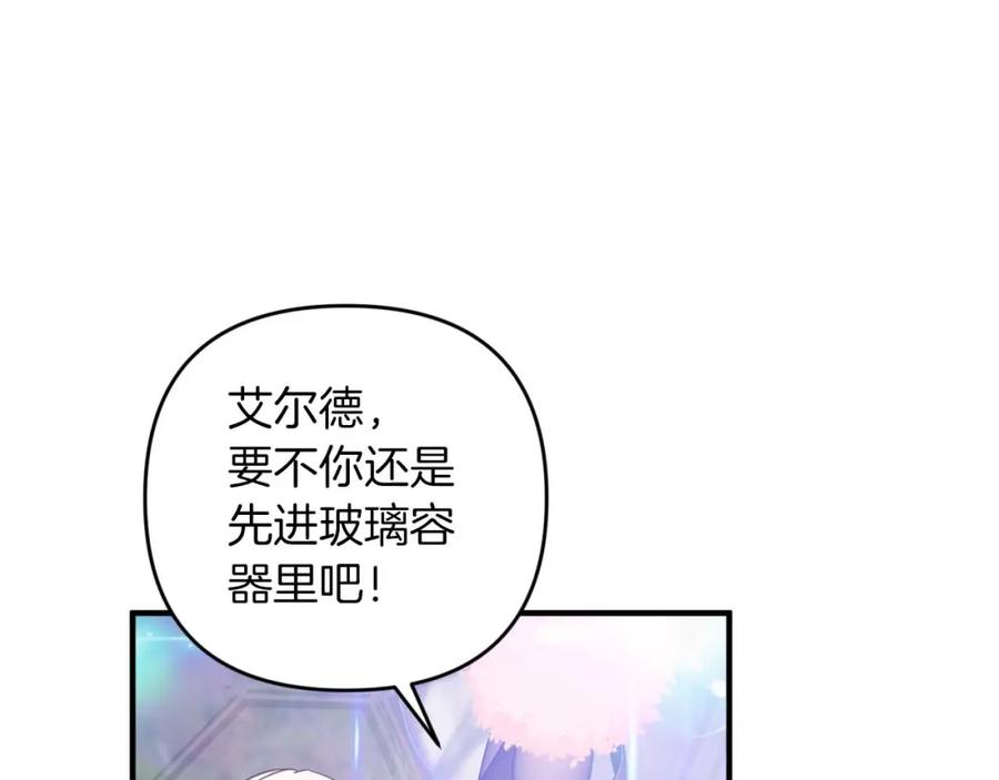 《钻石小姐历险记》第45话 被野生树精袭击了_! 第36页