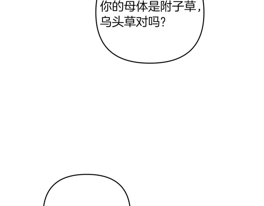 《钻石小姐历险记》第46话 出自人类之手的树精 第163页
