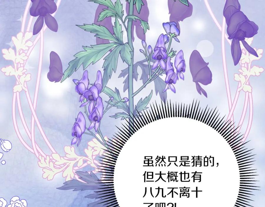《钻石小姐历险记》第46话 出自人类之手的树精 第71页
