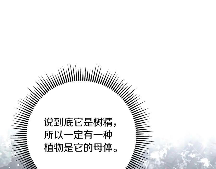 《钻石小姐历险记》第46话 出自人类之手的树精 第55页
