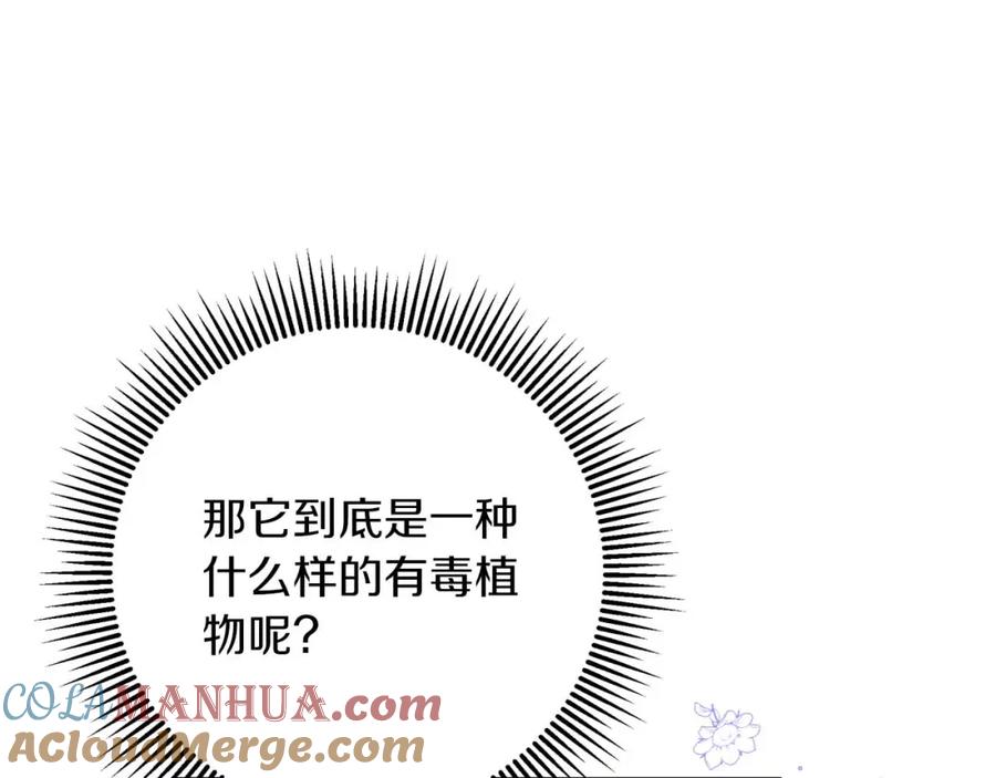 《钻石小姐历险记》第46话 出自人类之手的树精 第61页