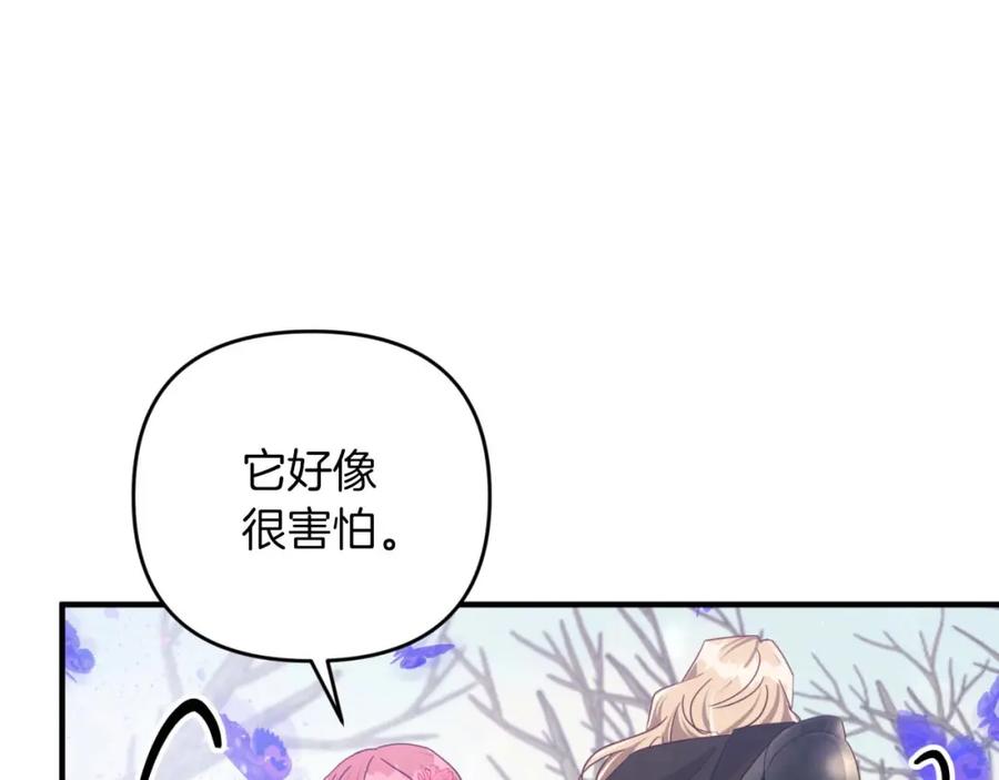 《钻石小姐历险记》第46话 出自人类之手的树精 第42页