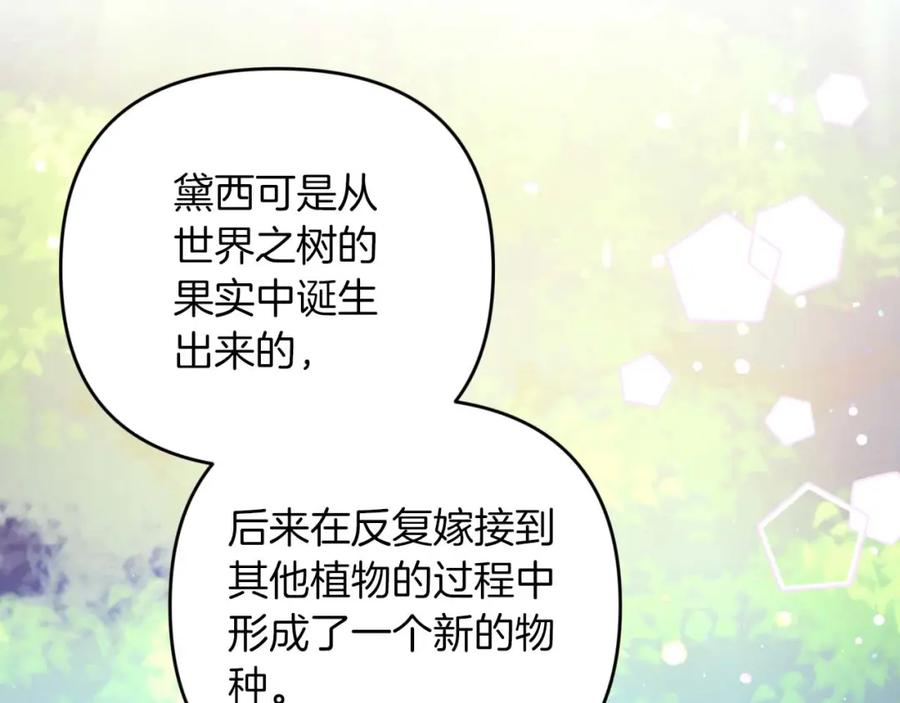 《钻石小姐历险记》第46话 出自人类之手的树精 第172页