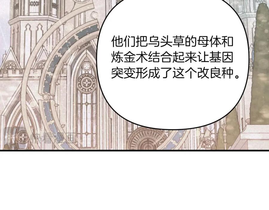 《钻石小姐历险记》第46话 出自人类之手的树精 第180页
