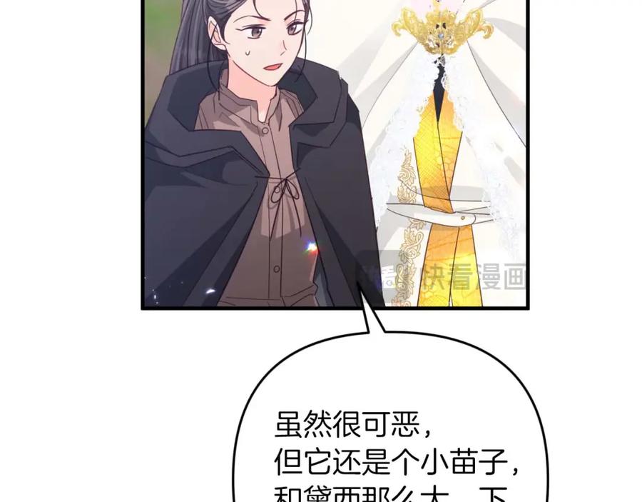《钻石小姐历险记》第46话 出自人类之手的树精 第156页