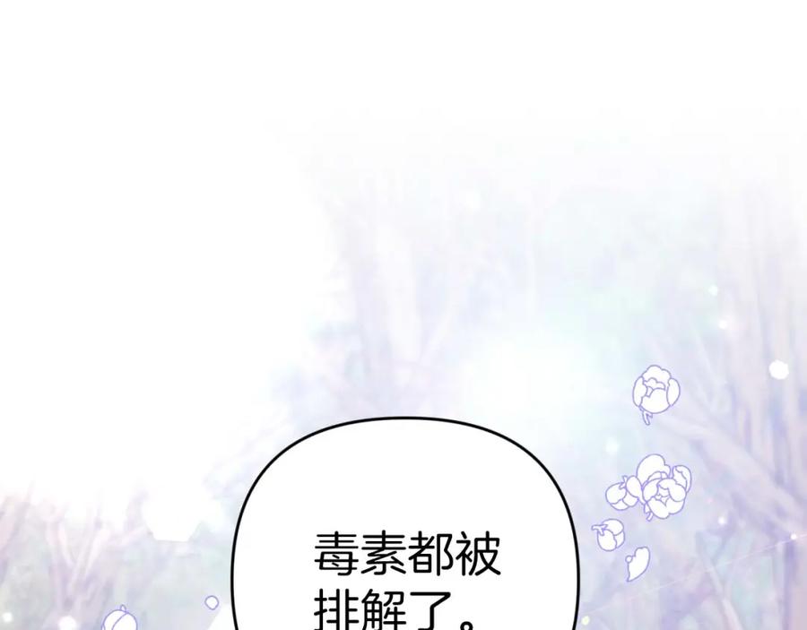 《钻石小姐历险记》第46话 出自人类之手的树精 第148页