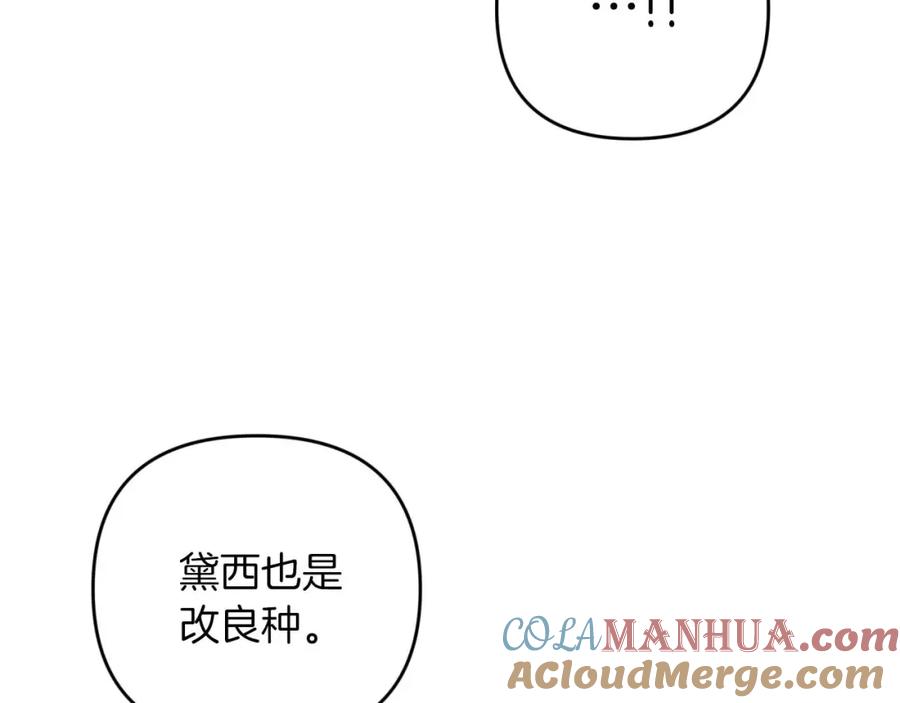 《钻石小姐历险记》第46话 出自人类之手的树精 第169页