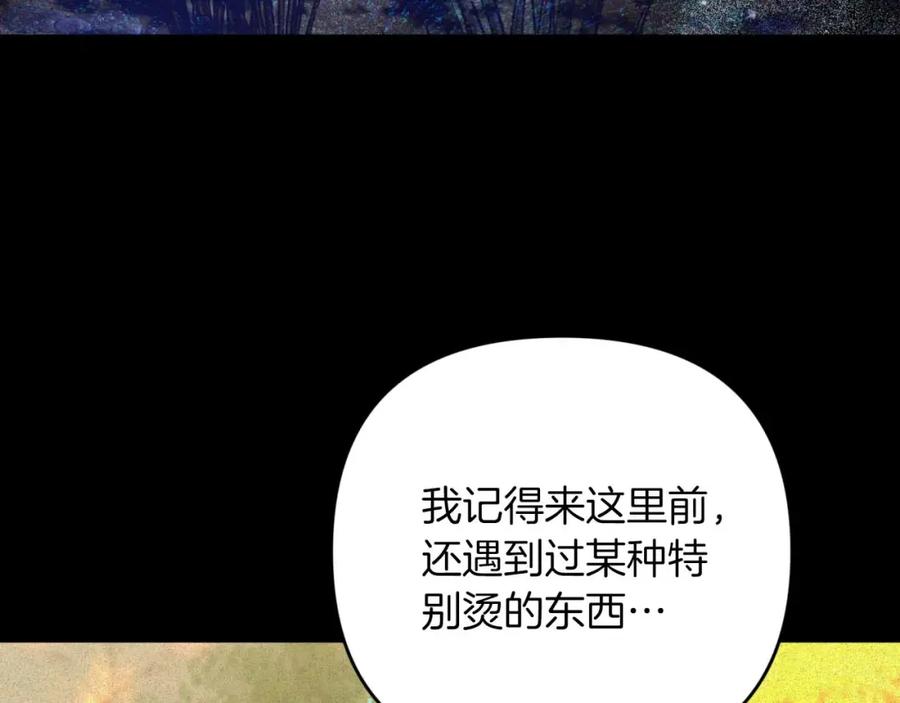 《钻石小姐历险记》第47话 重生吧，附子草 第164页