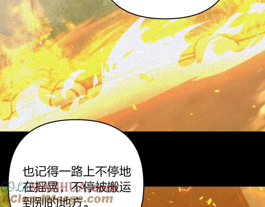 《钻石小姐历险记》第47话 重生吧，附子草 第165页