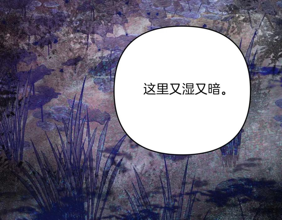 《钻石小姐历险记》第47话 重生吧，附子草 第163页