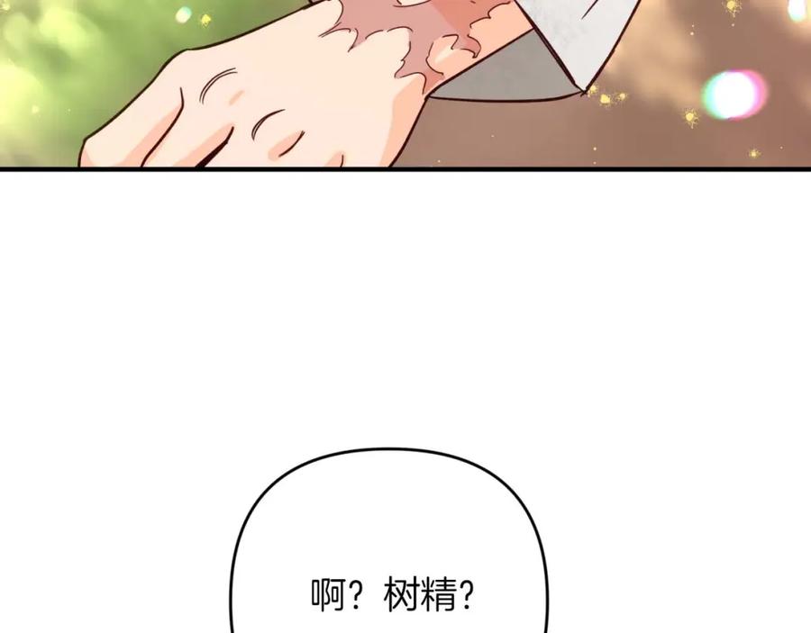 《钻石小姐历险记》第49话 黄金蝴蝶 第157页
