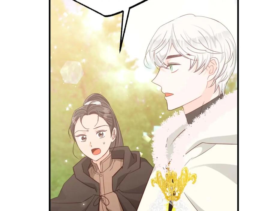 《钻石小姐历险记》第49话 黄金蝴蝶 第133页