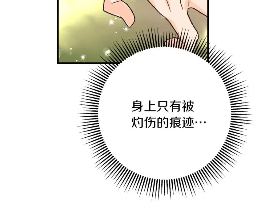 《钻石小姐历险记》第49话 黄金蝴蝶 第162页