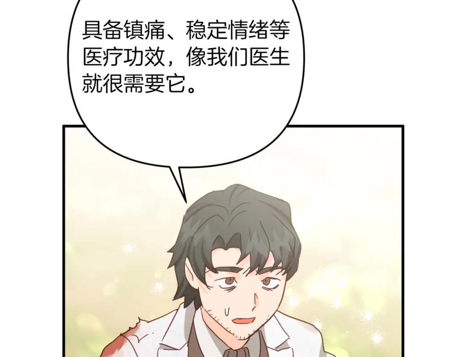 《钻石小姐历险记》第49话 黄金蝴蝶 第194页
