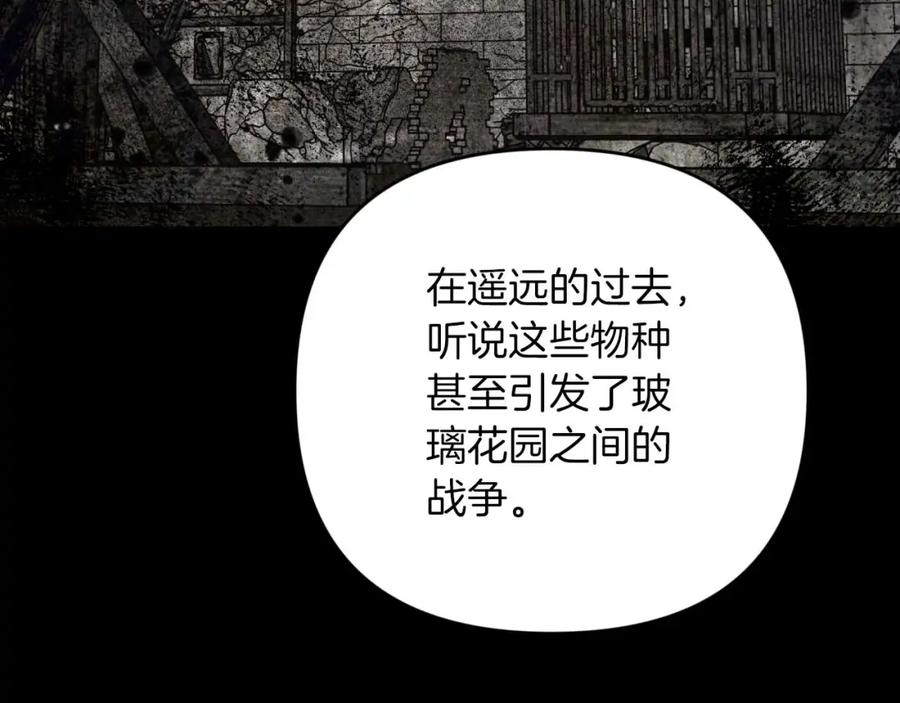 《钻石小姐历险记》第49话 黄金蝴蝶 第183页
