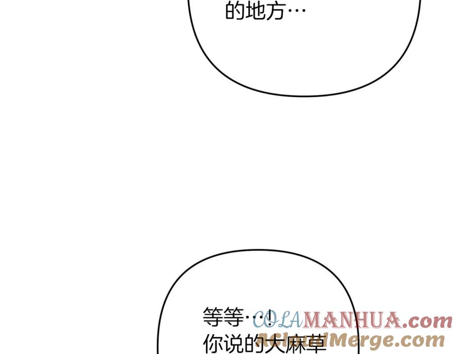 《钻石小姐历险记》第49话 黄金蝴蝶 第196页