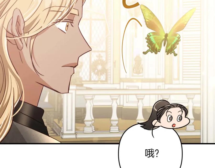 《钻石小姐历险记》第49话 黄金蝴蝶 第65页