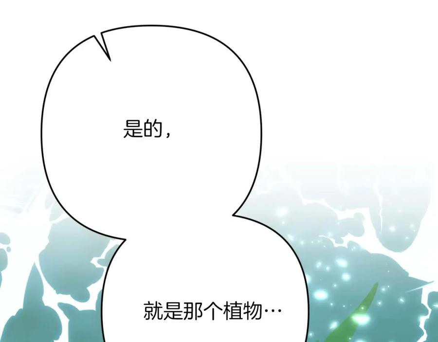 《钻石小姐历险记》第49话 黄金蝴蝶 第199页