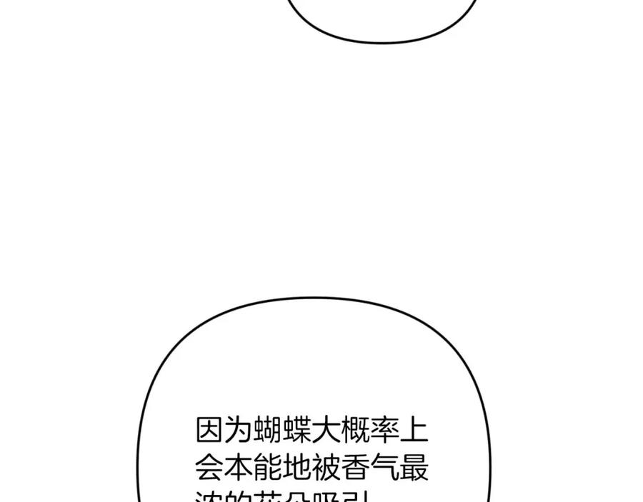 《钻石小姐历险记》第49话 黄金蝴蝶 第46页