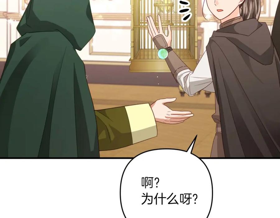 《钻石小姐历险记》第49话 黄金蝴蝶 第45页