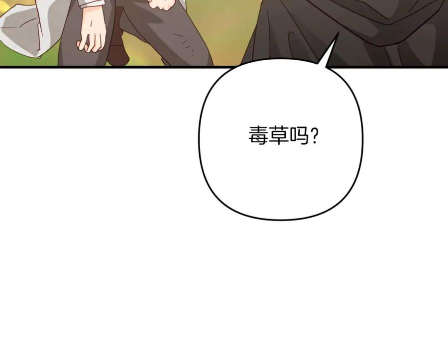 《钻石小姐历险记》第49话 黄金蝴蝶 第198页