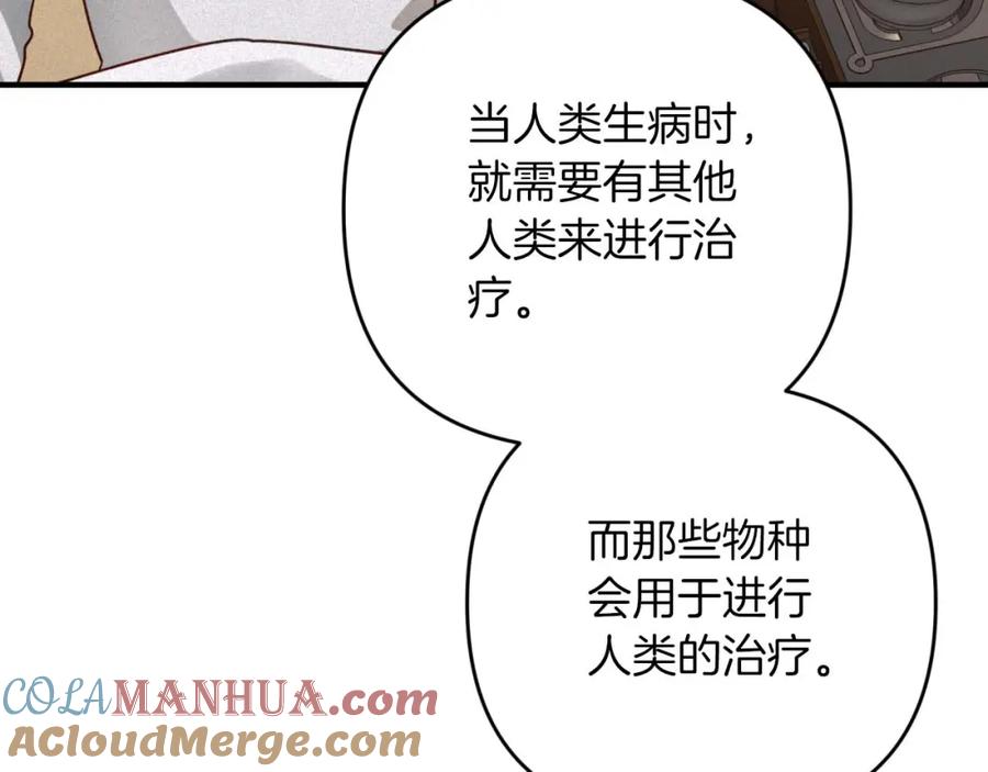 《钻石小姐历险记》第49话 黄金蝴蝶 第192页