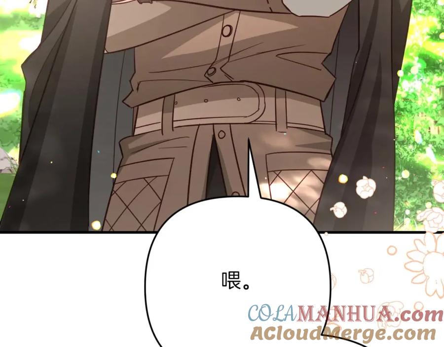 《钻石小姐历险记》第51话 危险的附子草 第217页