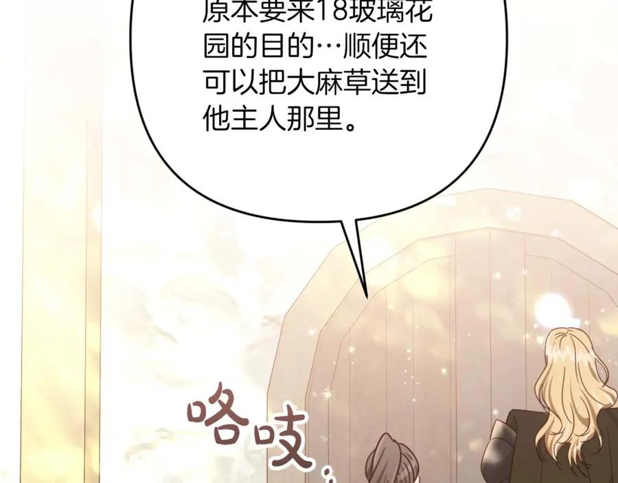 《钻石小姐历险记》第52话 钻石交易 第171页
