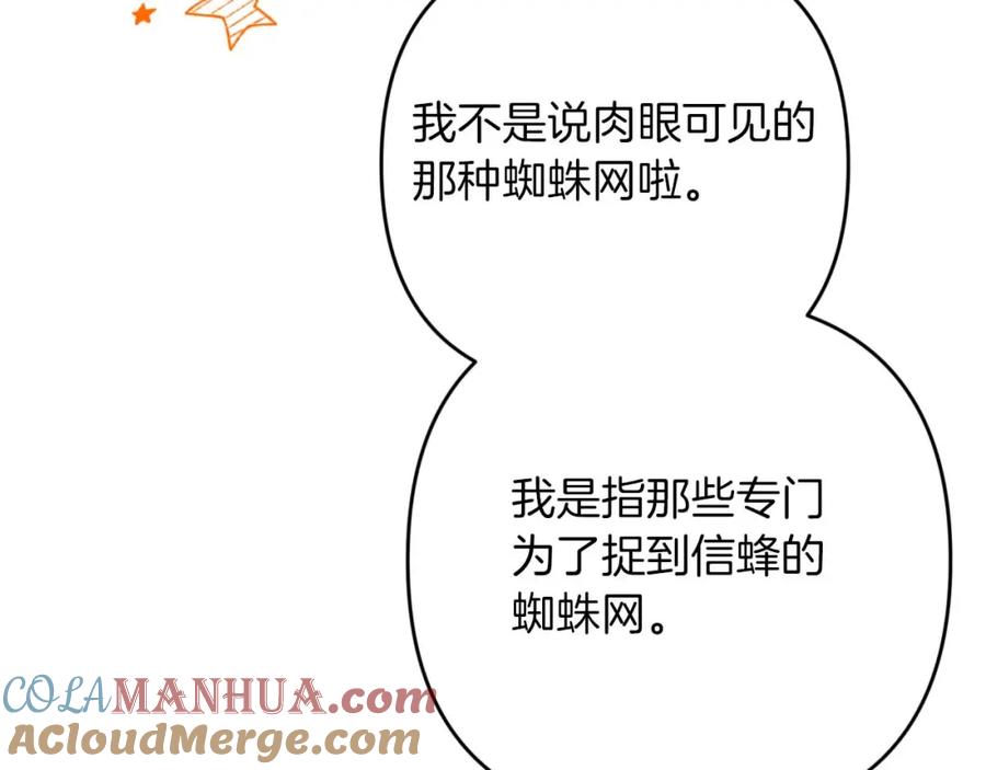 《钻石小姐历险记》第53话 玻璃花园拍卖会 第153页