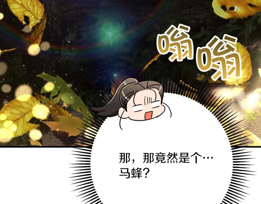 《钻石小姐历险记》第53话 玻璃花园拍卖会 第240页