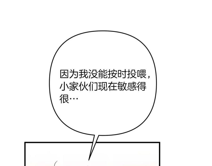 《钻石小姐历险记》第53话 玻璃花园拍卖会 第235页