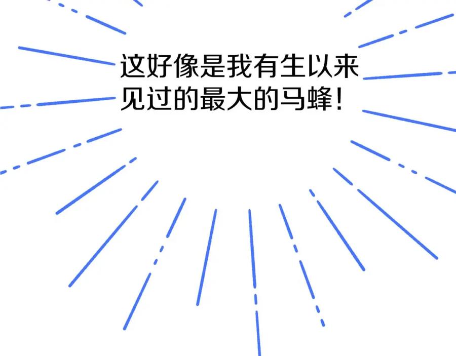 《钻石小姐历险记》第53话 玻璃花园拍卖会 第242页
