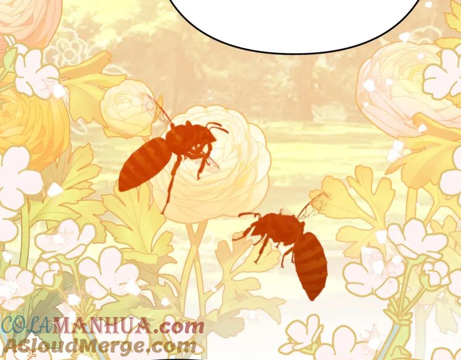 《钻石小姐历险记》第53话 玻璃花园拍卖会 第161页