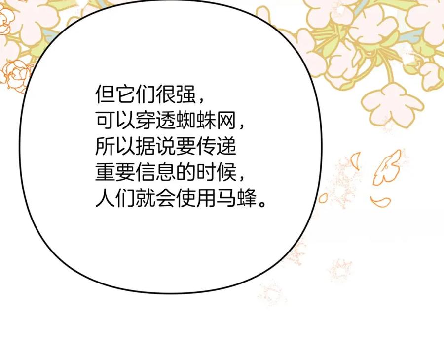 《钻石小姐历险记》第53话 玻璃花园拍卖会 第162页