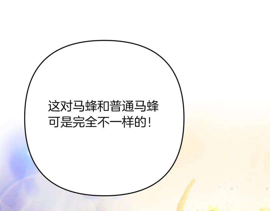 《钻石小姐历险记》第53话 玻璃花园拍卖会 第238页