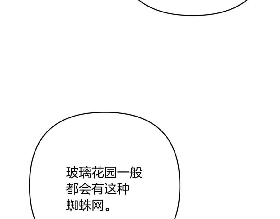 《钻石小姐历险记》第53话 玻璃花园拍卖会 第154页
