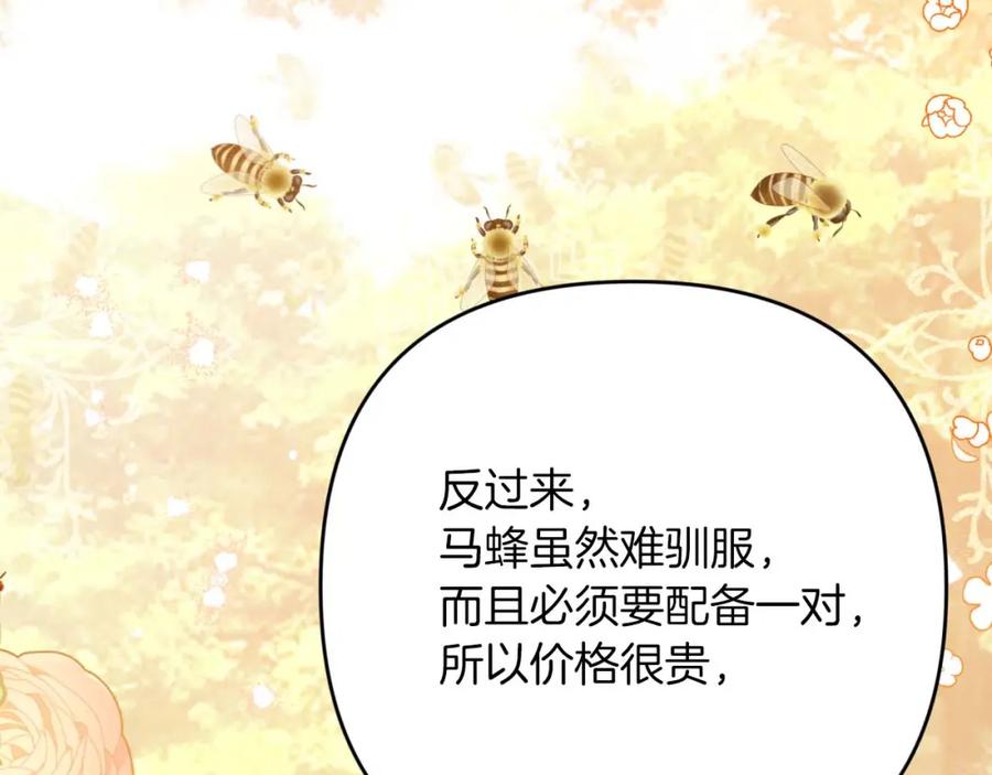 《钻石小姐历险记》第53话 玻璃花园拍卖会 第160页