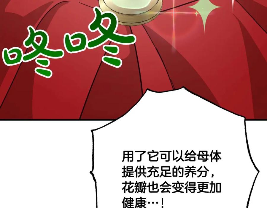 《钻石小姐历险记》第54话 恋爱的酸臭味 第238页