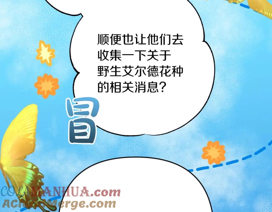 《钻石小姐历险记》第55话 组公会_! 第189页