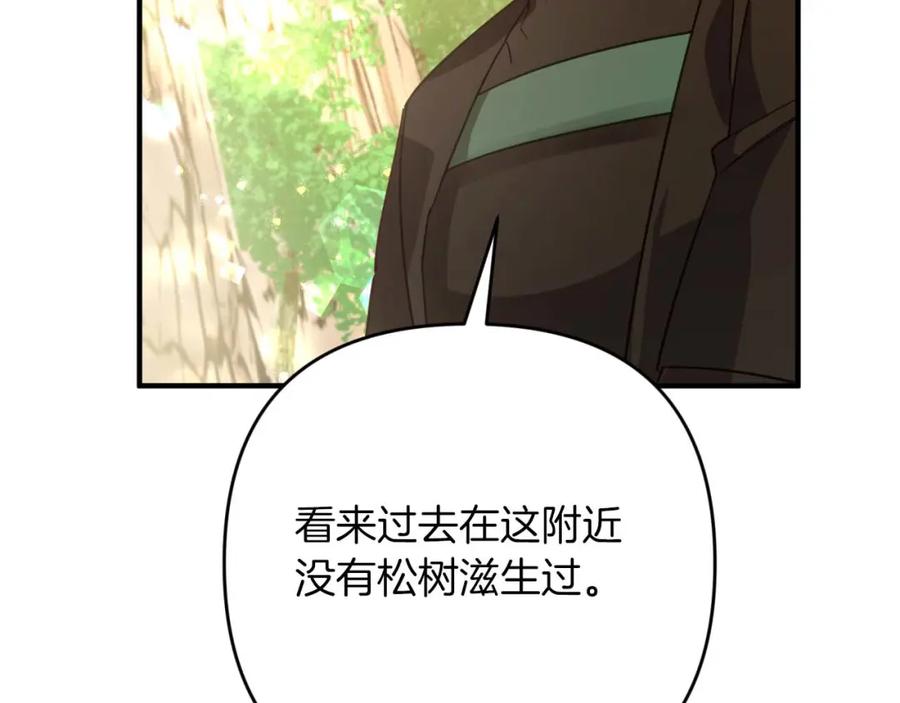 《钻石小姐历险记》第57话 松树树精 第151页