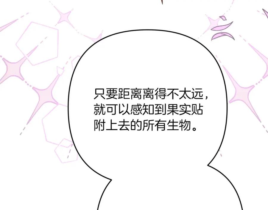 《钻石小姐历险记》第57话 松树树精 第172页