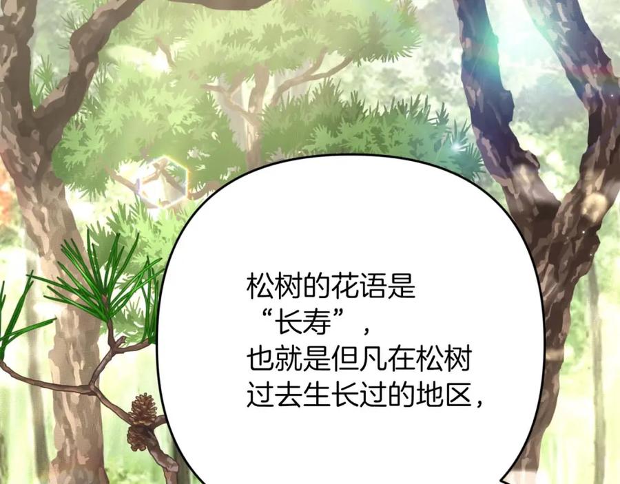 《钻石小姐历险记》第57话 松树树精 第59页