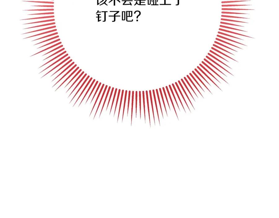 《钻石小姐历险记》第57话 松树树精 第224页
