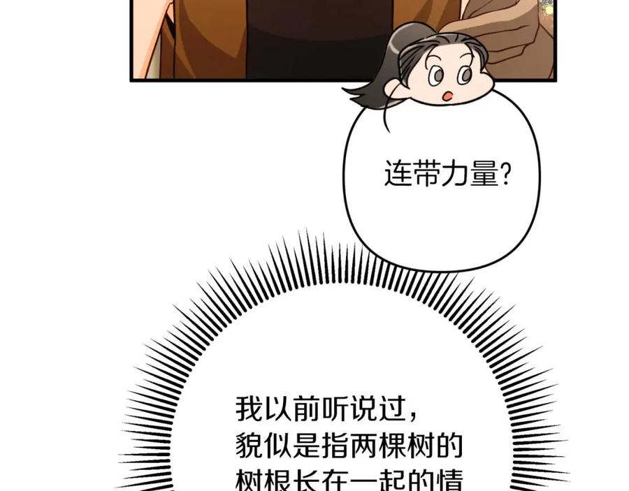 《钻石小姐历险记》第57话 松树树精 第63页