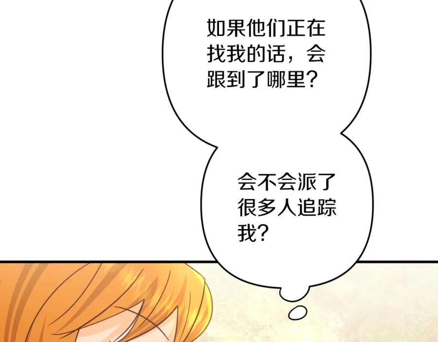 《钻石小姐历险记》第57话 松树树精 第203页