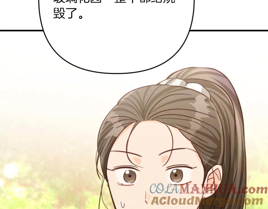 《钻石小姐历险记》第57话 松树树精 第221页